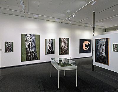 im Hans Erni Museum, Verkehrshaus Schweiz